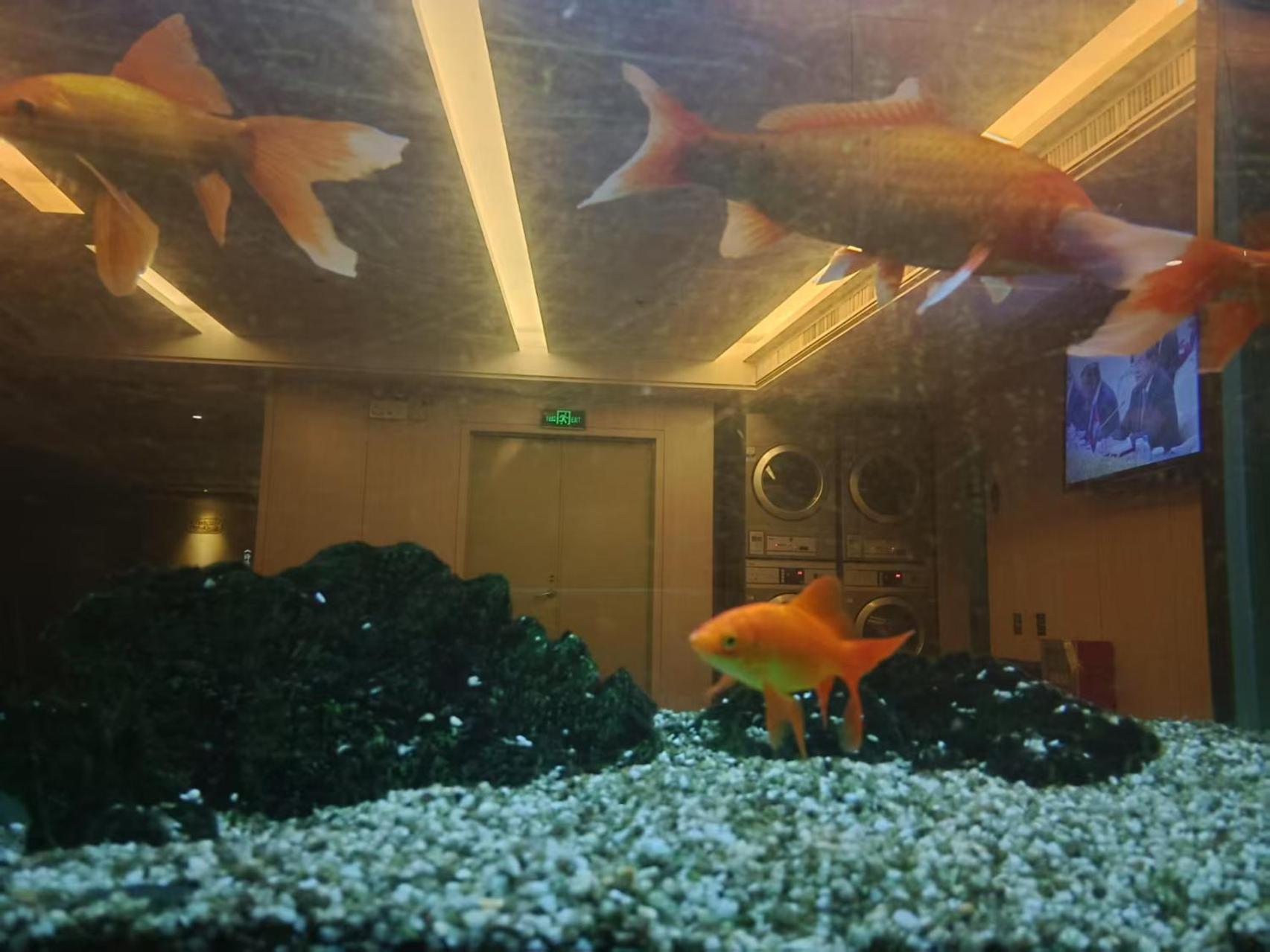 Paco Hotel Tianhe Coach Terminal Metro Satation Guangzhou-Free Shuttle Bus For Canton Fair Ngoại thất bức ảnh
